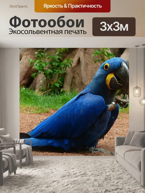 Фотообои Синие ара