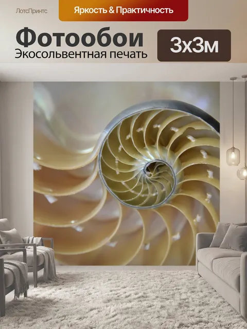Фотообои Наутилус разрезе раковины