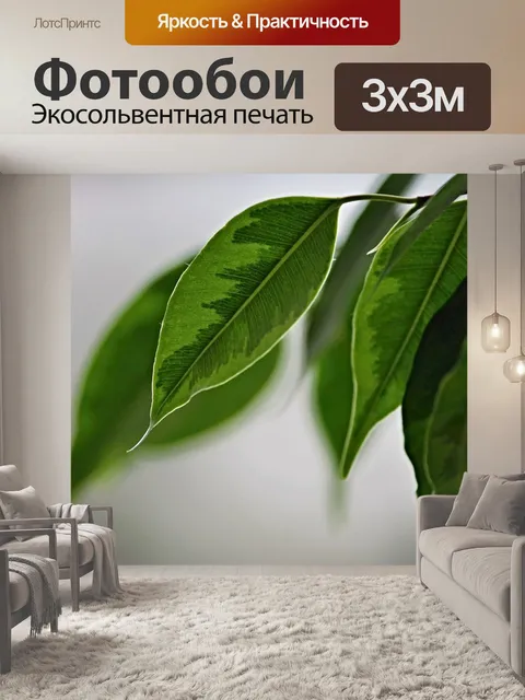 Фотообои Березы на фиг
