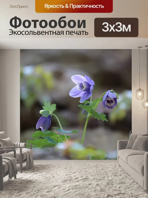 Фотообои Коготь небесного ястреба