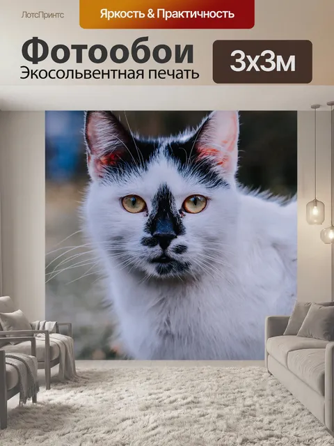 Фотообои Кошка