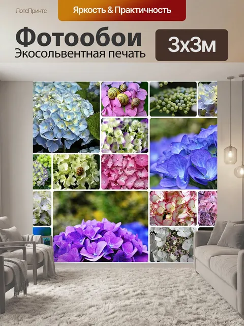 Фотообои Гортензии