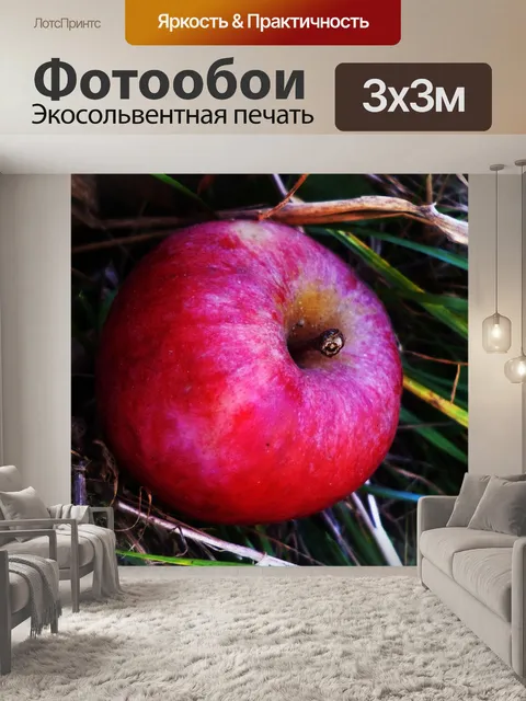 Фотообои Яблоко