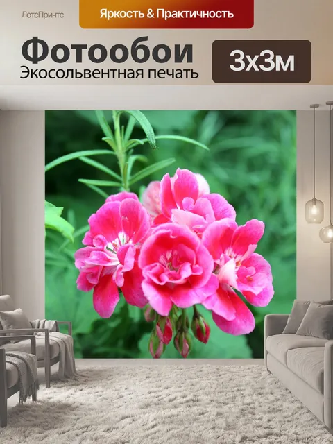 Фотообои Красный цветок расцветает