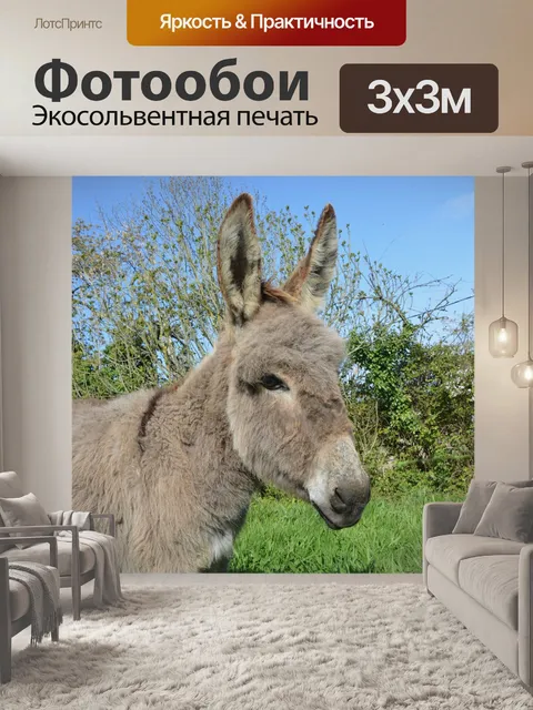 Фотообои Осел, походы, спокойствие