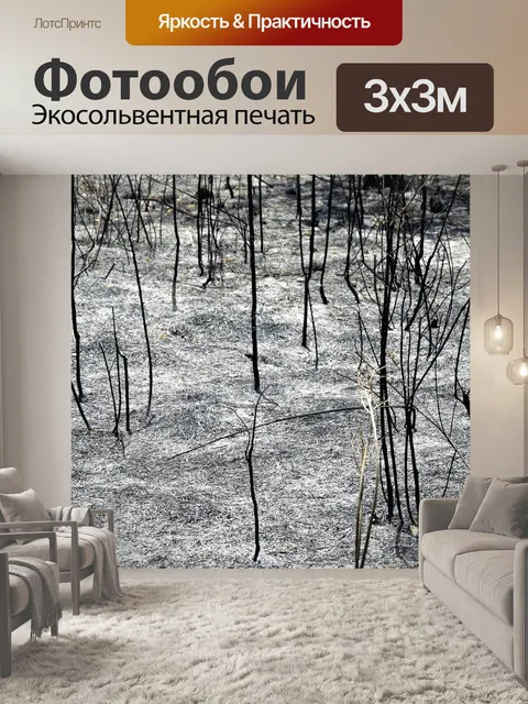Фотообои Сгорел