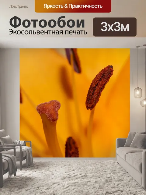 Фотообои Лили