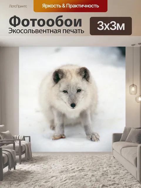 Фотообои Арктический лис