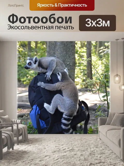 Фотообои Кошачий лемур 16