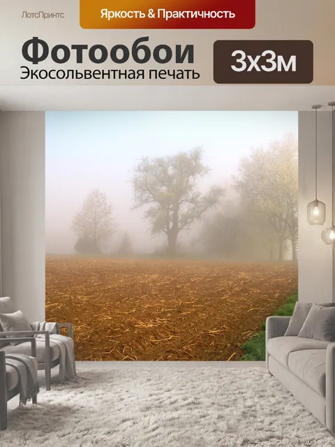 Фотообои Туман