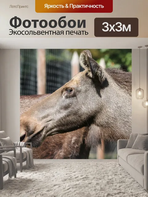 Фотообои Американский лось