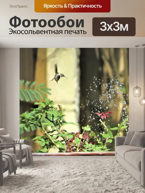 Фотообои Колибри