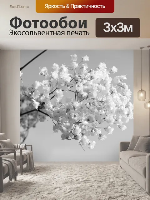Фотообои Черные и белые цветы
