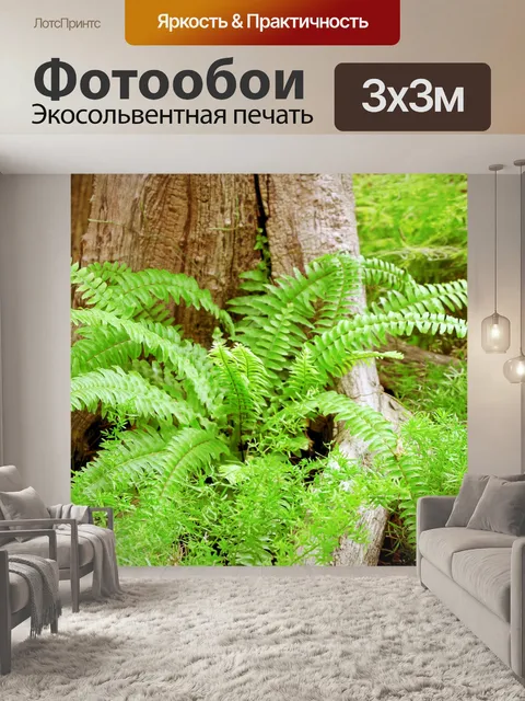 Фотообои Дерево с папоротниками
