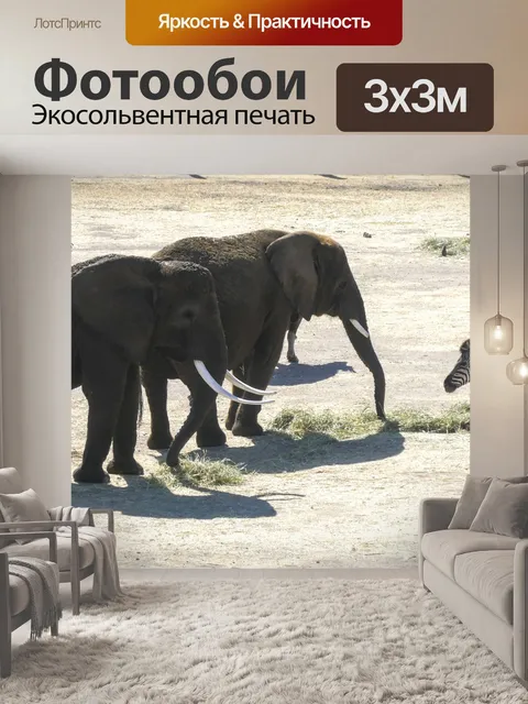 Фотообои Слоны и зебры