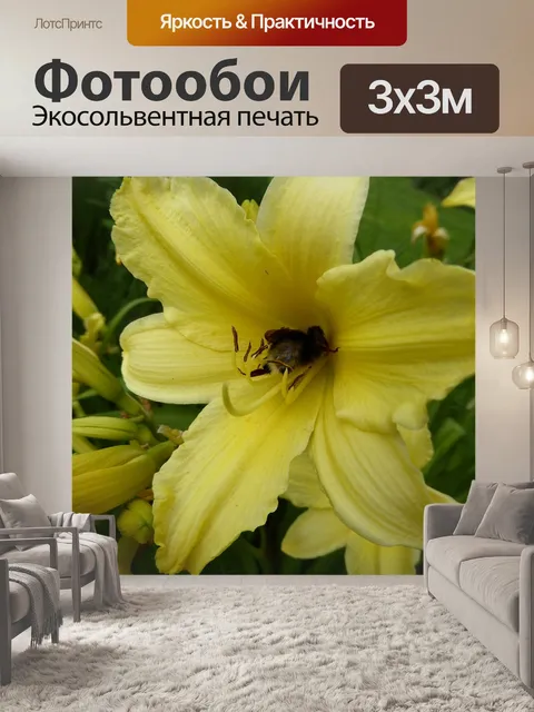 Фотообои Желтый цветок