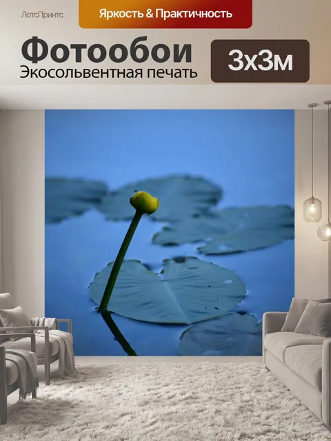 Фотообои Водное растение