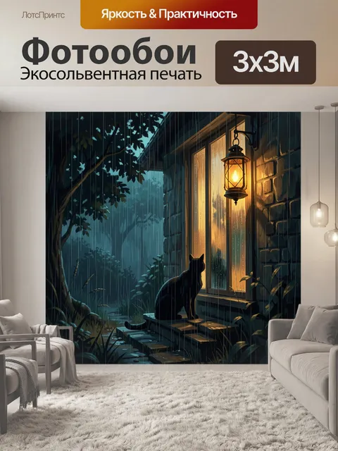 Фотообои Чёрный кот у окна в дождь
