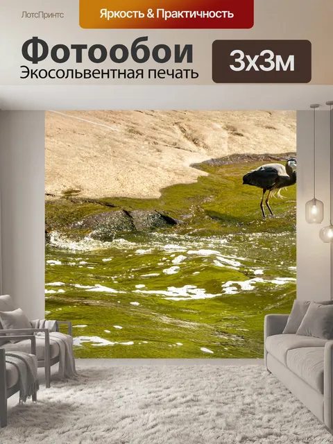 Фотообои Цапля рыбалка