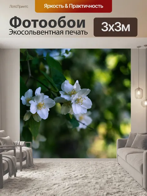 Фотообои Роза