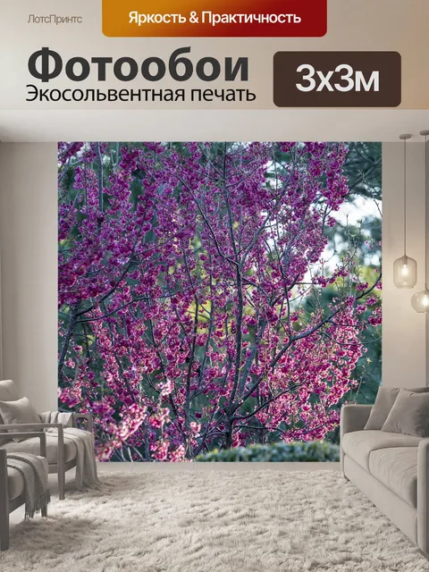 Фотообои Японский дзен сад