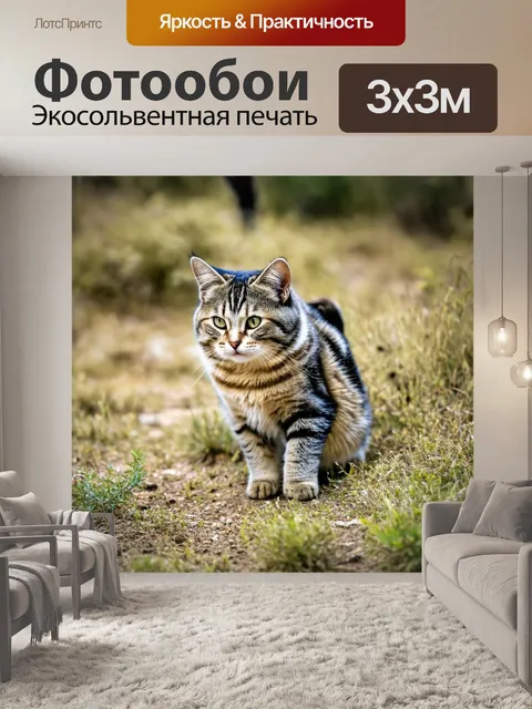 Фотообои кошки, исследующие загадочные земли в поисках приключений