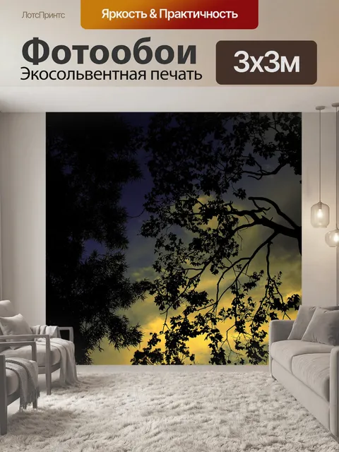 Фотообои листва с резкое небо