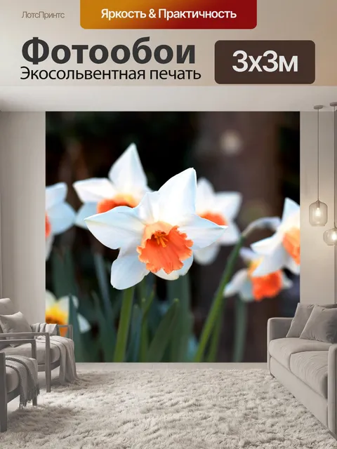 Фотообои Нарцисс пинк шарм