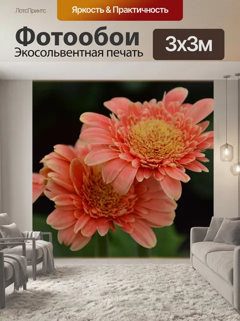 Фотообои Голландские цветы в садах +76