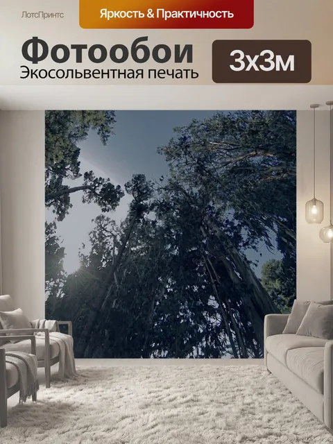 Фотообои Деревья и небо