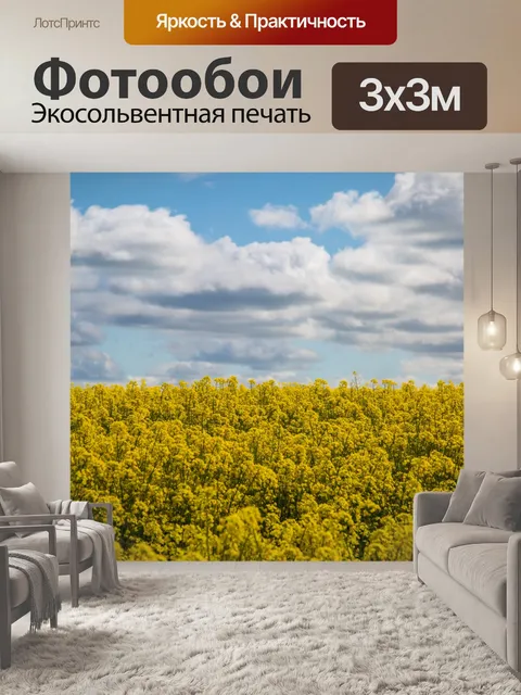 Фотообои Field Of Yellow канолы