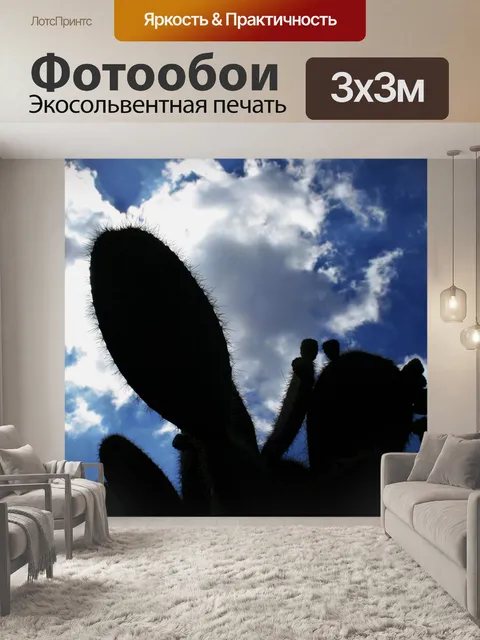 Фотообои опунция силуэт