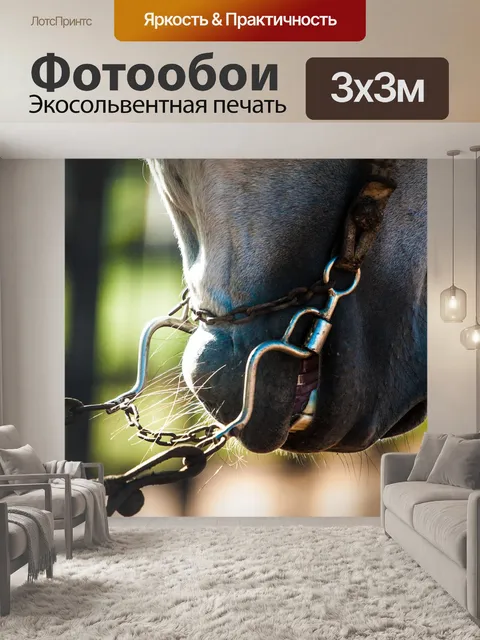 Фотообои Лошадь