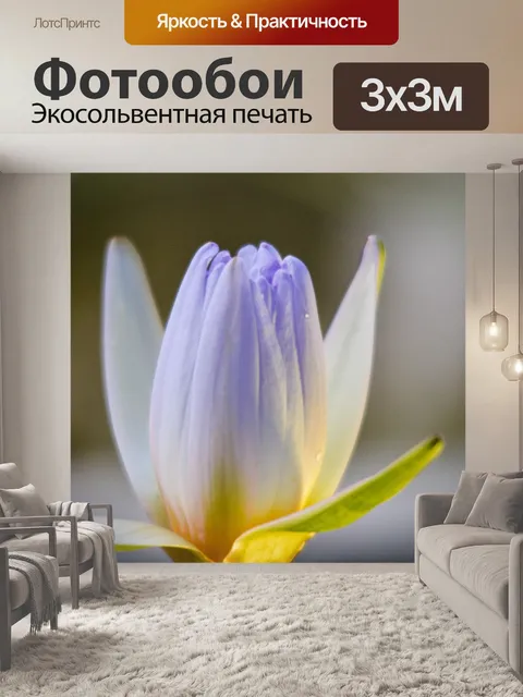 Фотообои Цветок