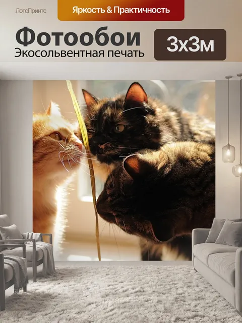 Фотообои Кошки