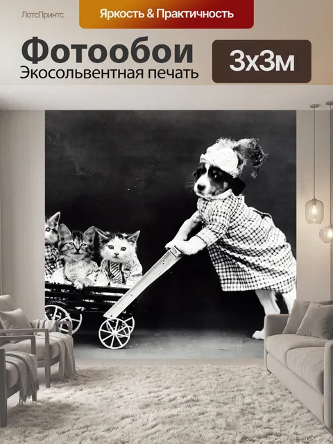 Фотообои Котята и щенки Vintage Photo