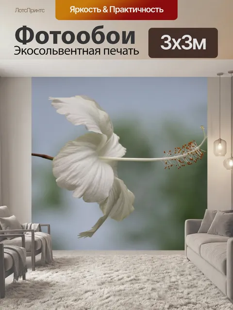 Фотообои Белый цветок