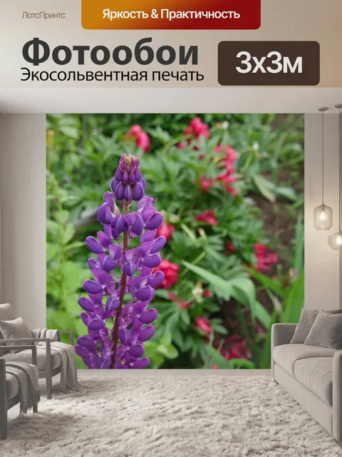 Фотообои Люпин
