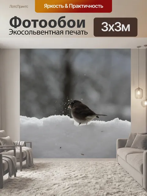 Фотообои Птица