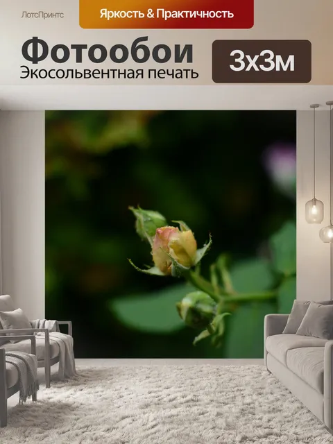 Фотообои Цветок
