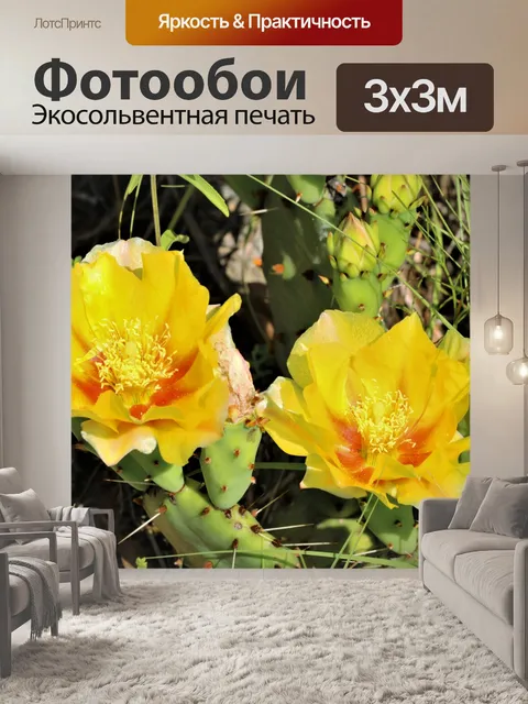 Фотообои Два колючих груша кактуса