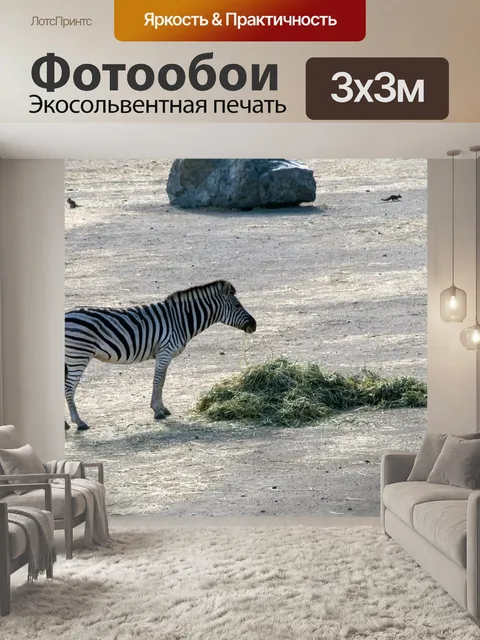 Фотообои зебра