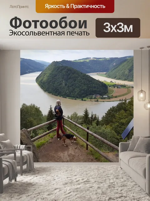 Фотообои Петля дунай