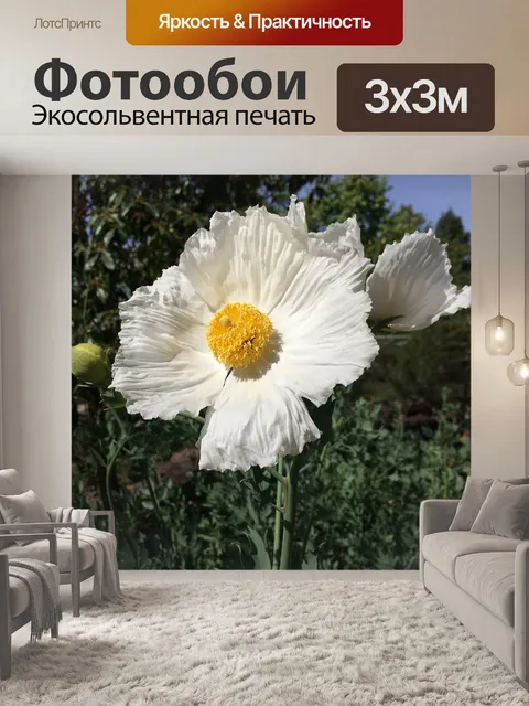 Фотообои Матилия мак