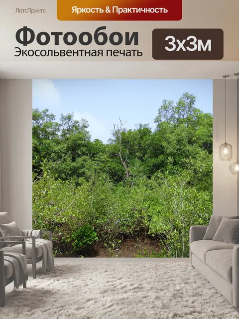 Фотообои Мангровые заросли
