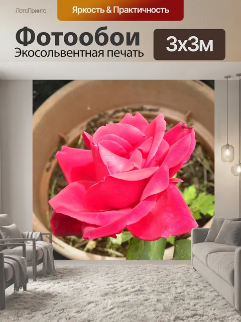 Фотообои Красный