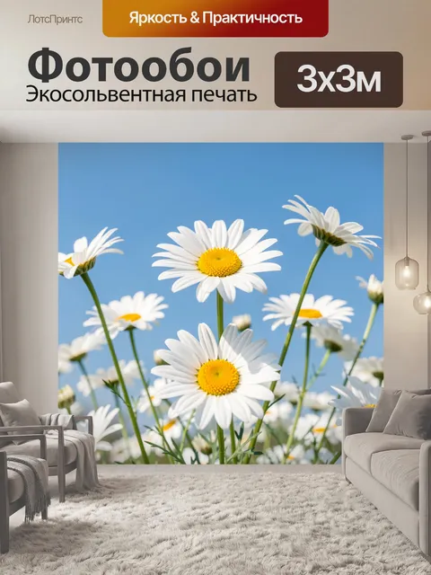 Фотообои Белые ромашки на голубом фоне