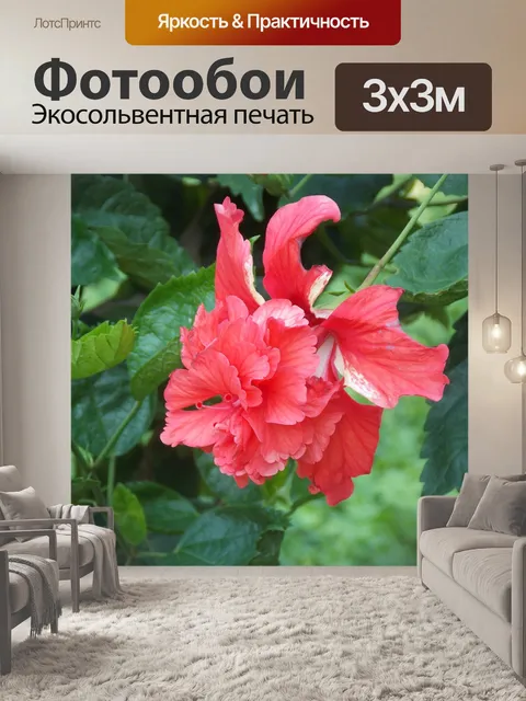 Фотообои Красный