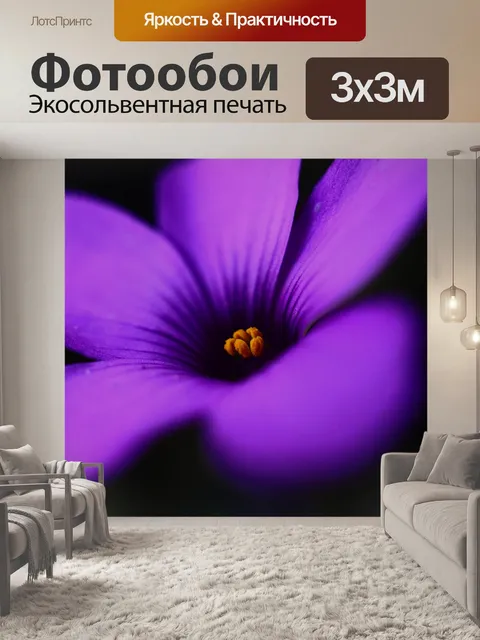 Фотообои Цветок