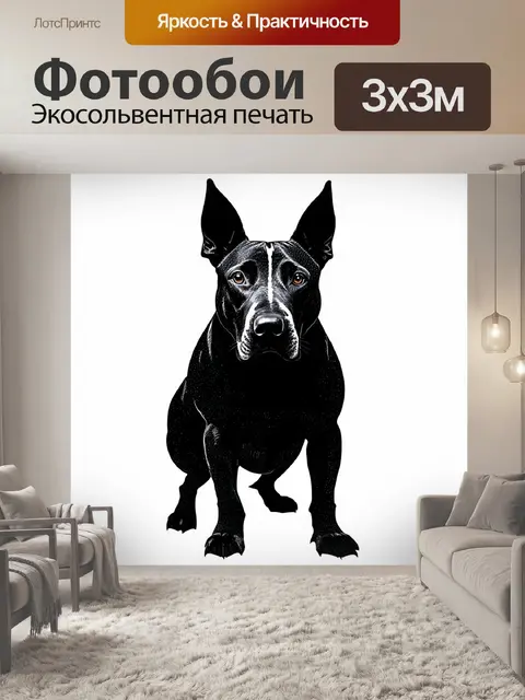 Фотообои сложный черный силуэт английского бультерьера